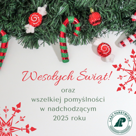 Wesołych Świąt:)