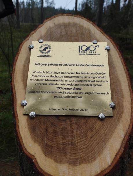 100 tysięcy drzew na 100-lecie LAsów Państwowych