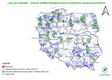 Światowy Dzień Mokradeł!