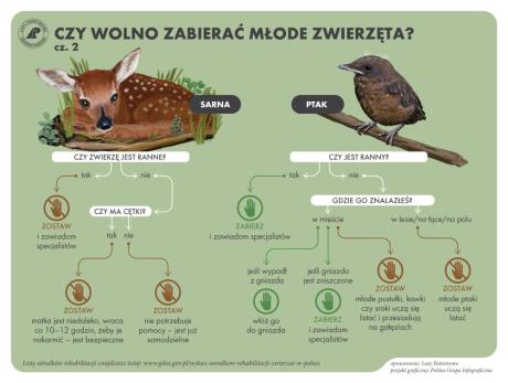 Zalazłeś pisklę? Nie zabieraj go do domu.