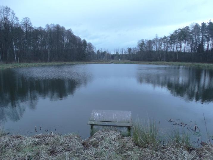 Zbiornik małej retencji Leśnictwo Turka